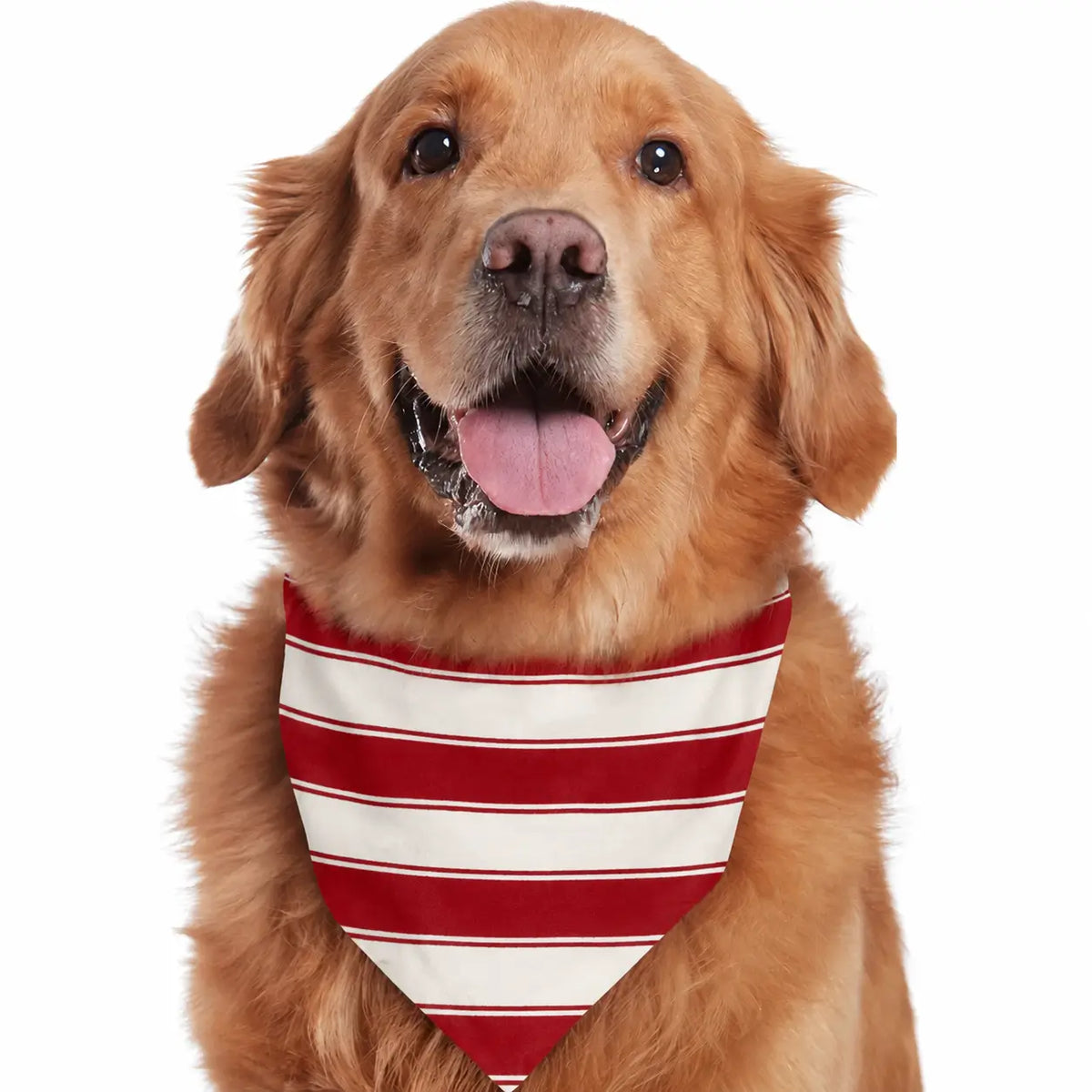 Family wearing matching red and white candy cane striped Christmas pajamas by the tree - view 14